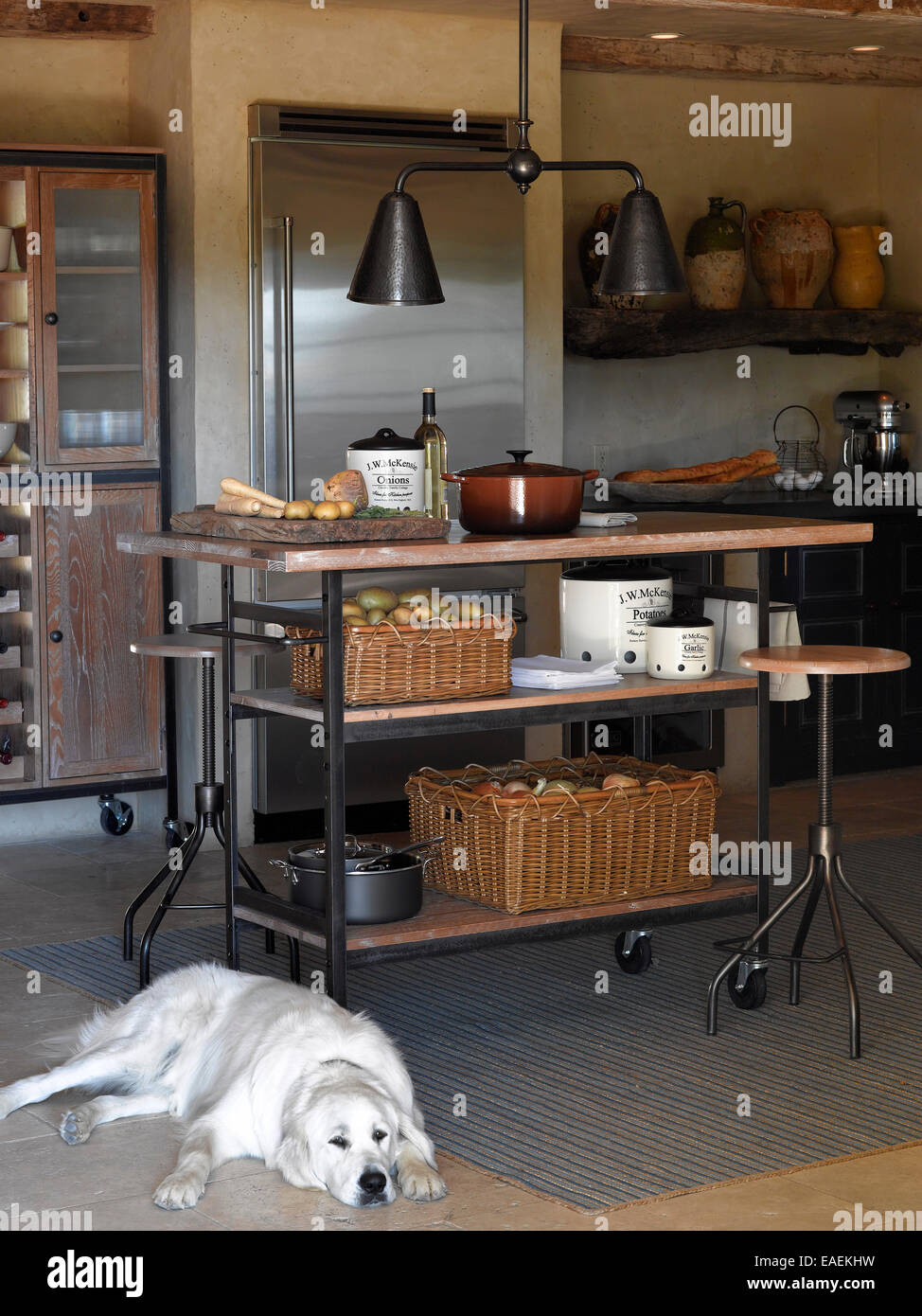 Reclining white dog in tuscan style kitchen