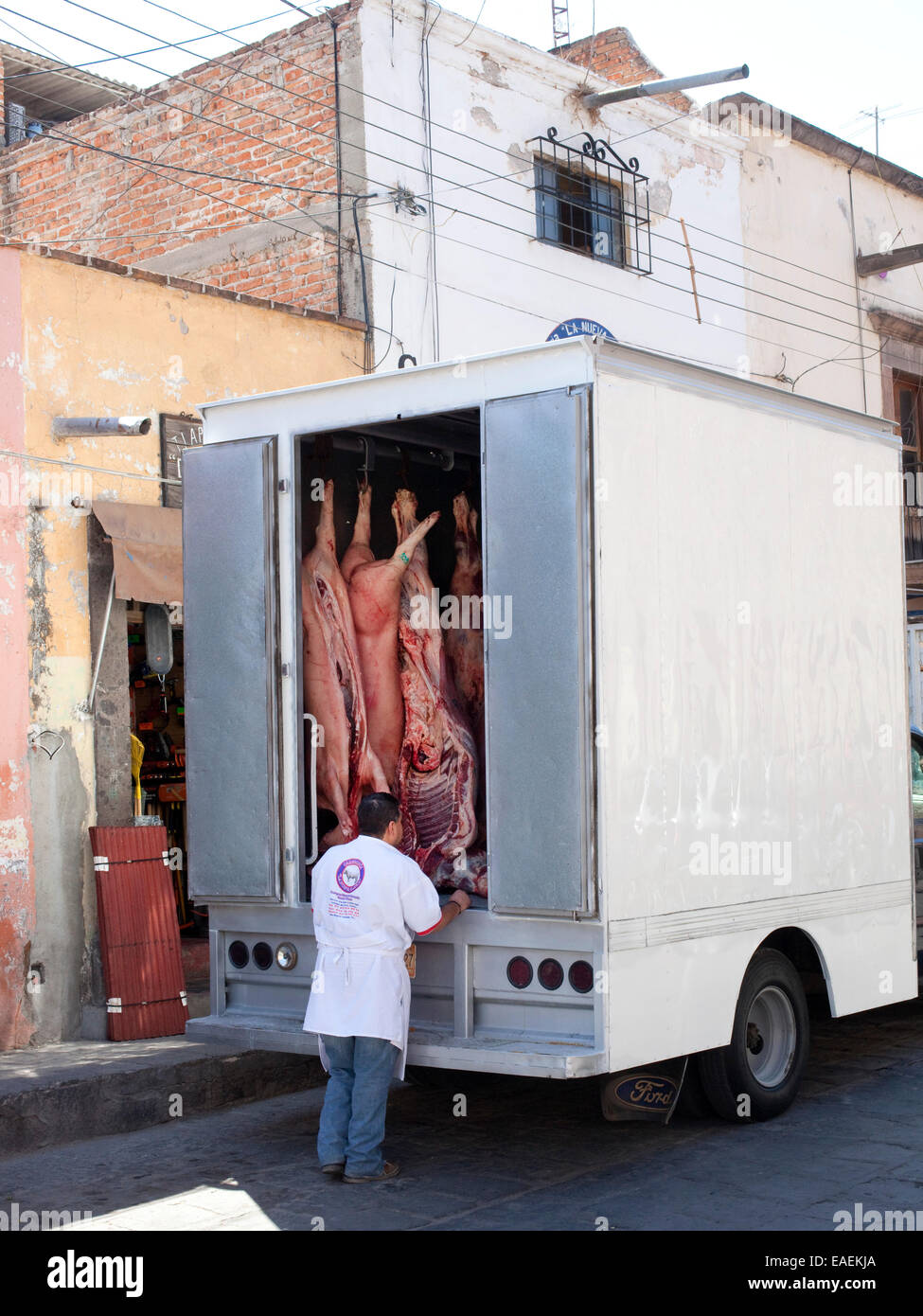 A butcher begins to unload a truck of whole, cleaned pigs in Mexico. Stock Photo