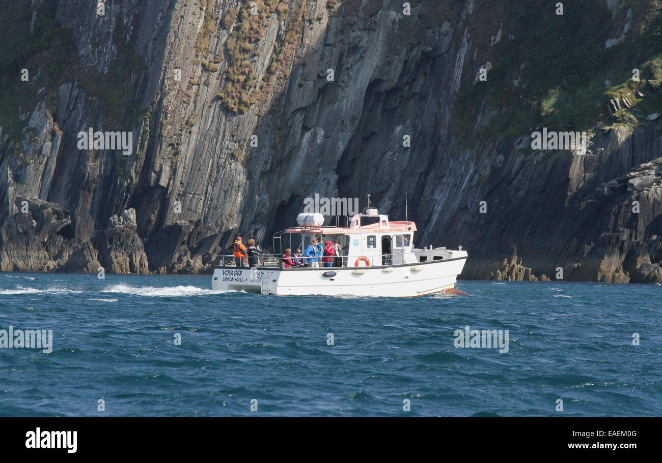Nic Slocum's vessel 'Voyager' on a whale watching and sight seeing trip off Cape Clear West Cork Ireland. Stock Photo