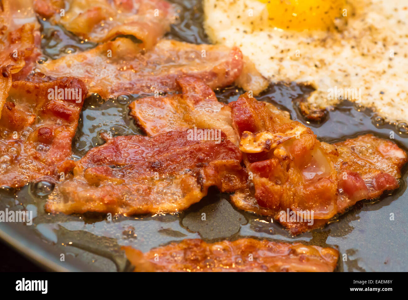 A greasy breakfast of fried bacon and an egg frying in a frying pan. Stock Photo