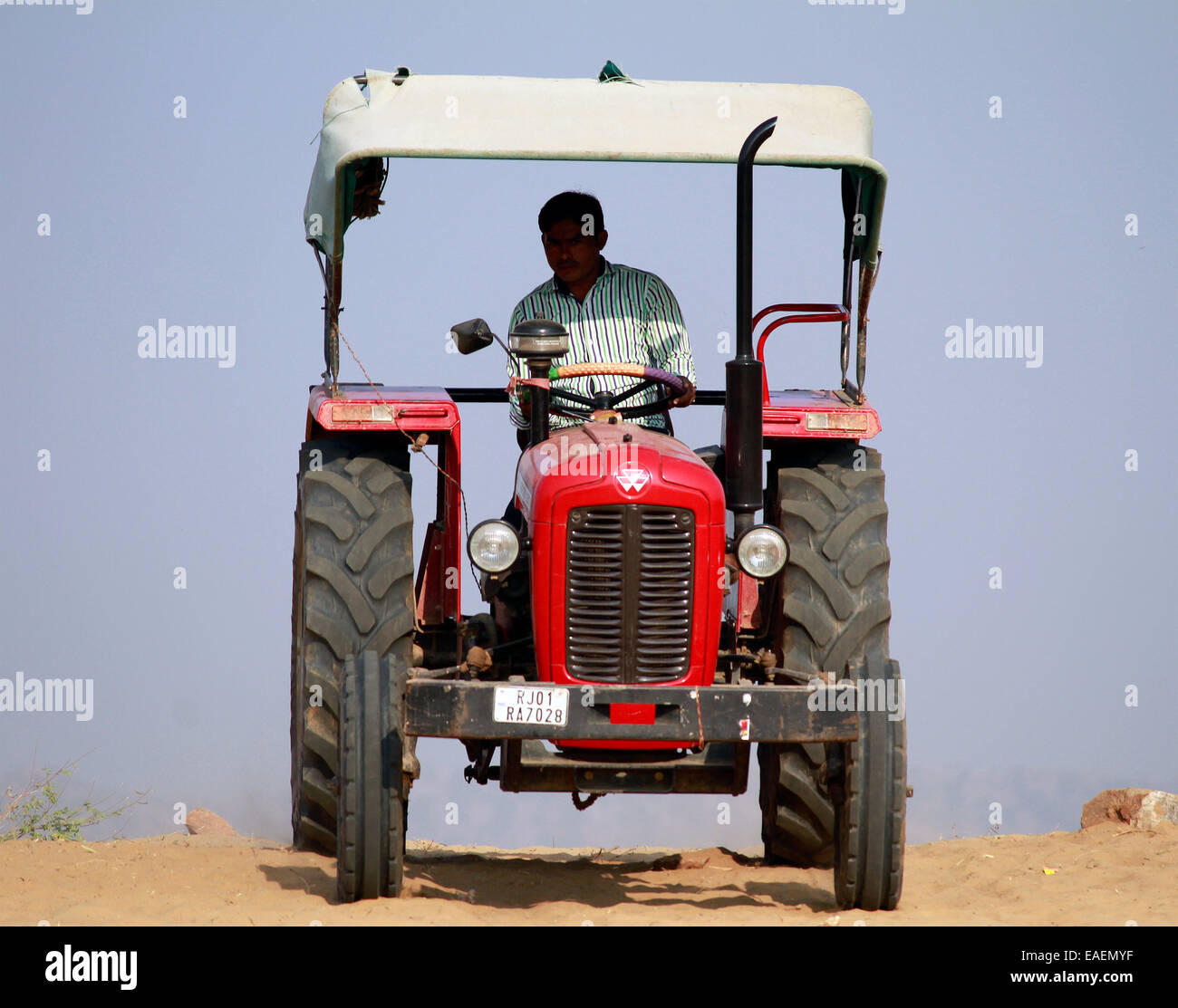 Desert, rajasthan, India, clearing, day, daylight, daytime, exterior, farmer, field, grass, hill, land, landscape, mow, mowing, Stock Photo