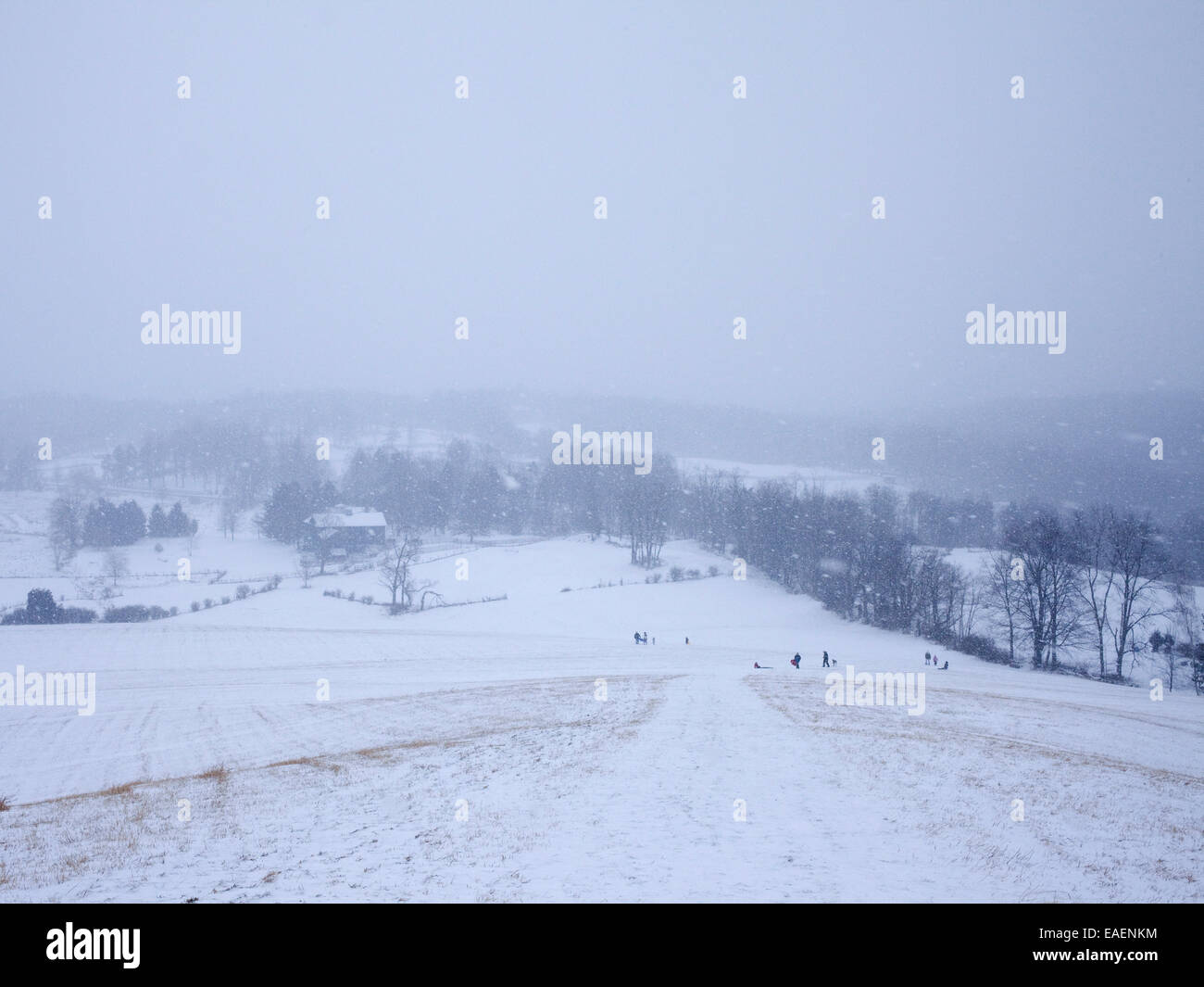 Sleigh riders at the base of a large hill during a snow storm in the country. Stock Photo