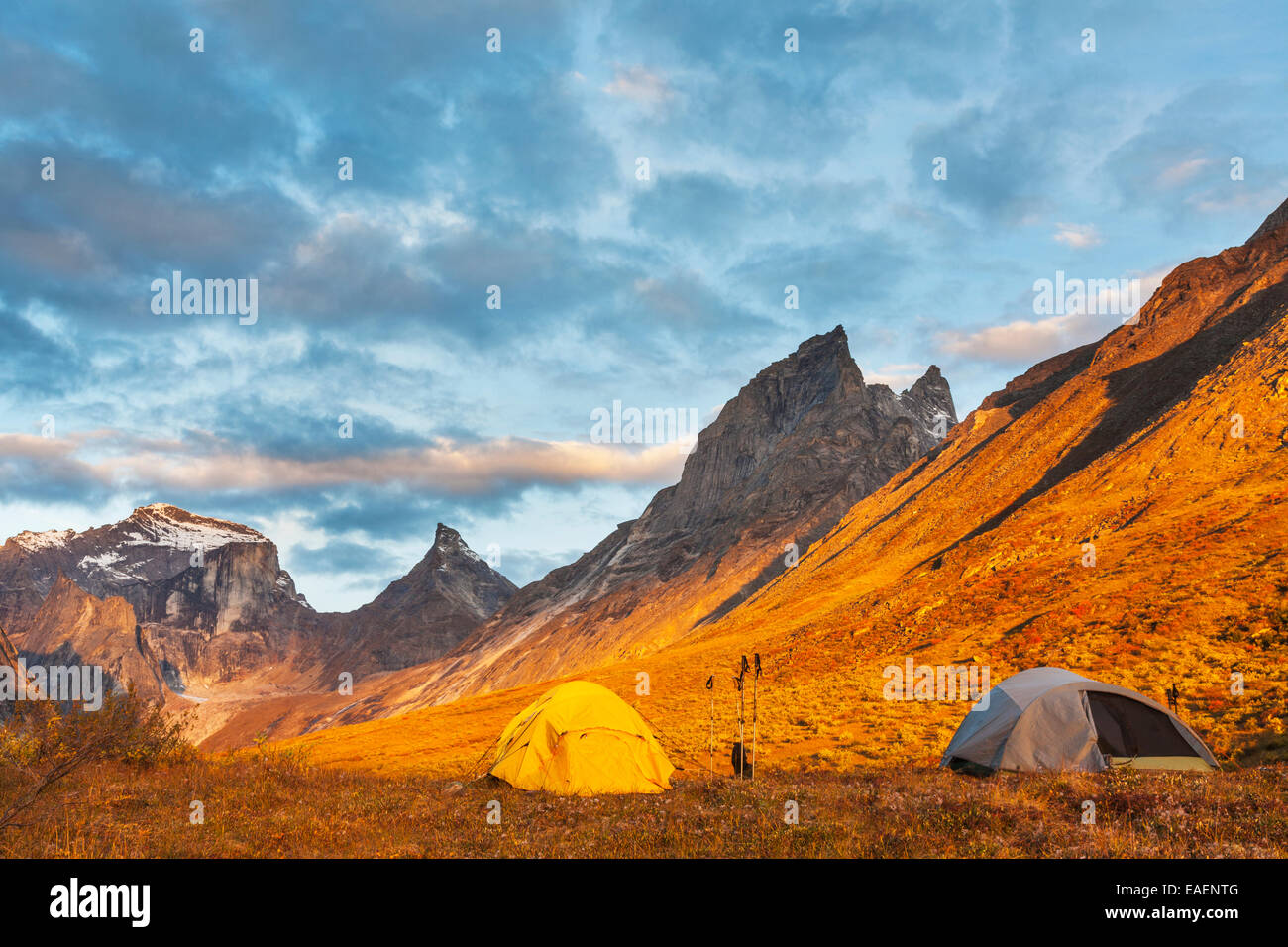 Dawn,Tent,Alaska,Camp,Arctic National Park Stock Photo Alamy