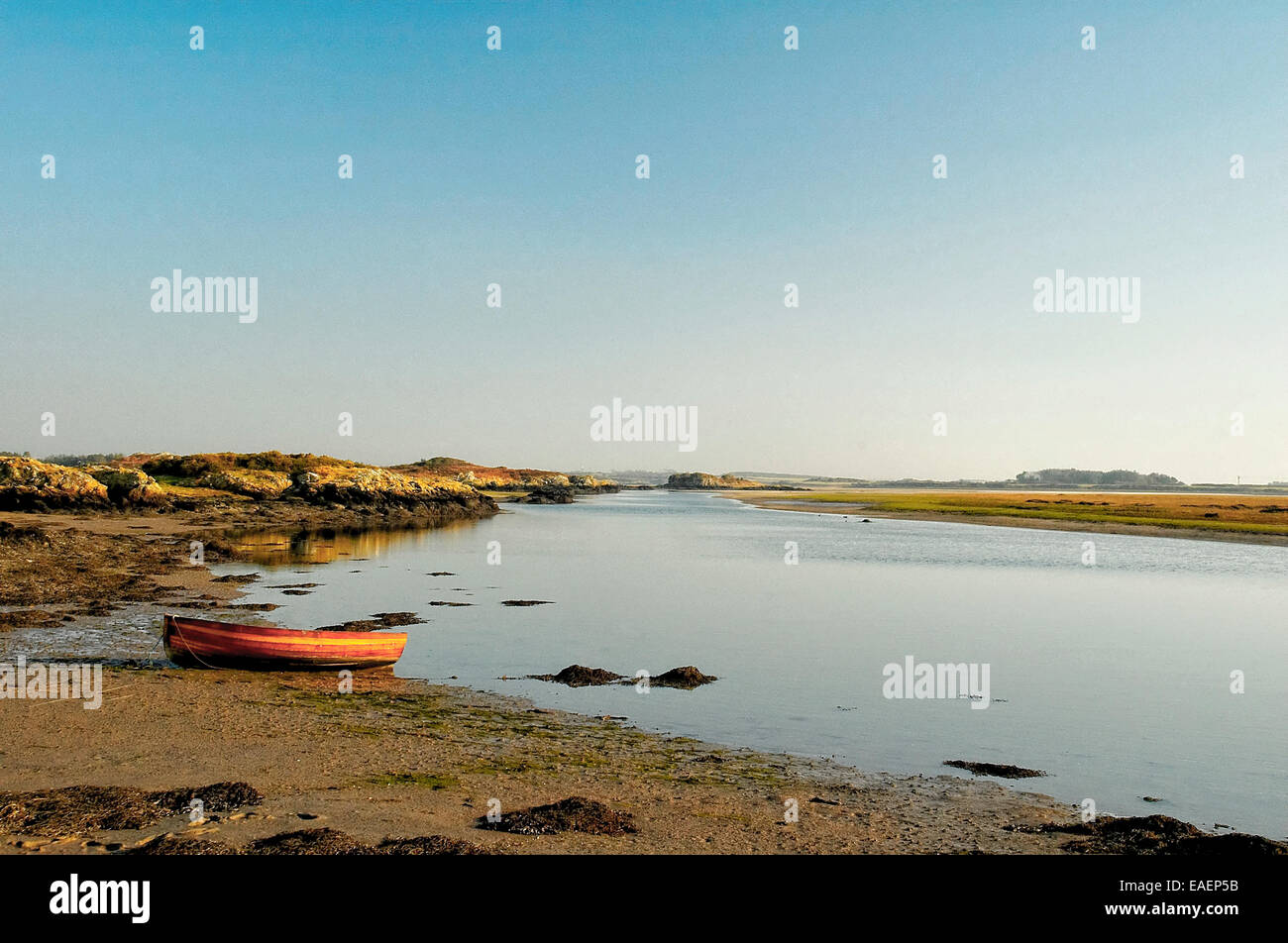 A single boat beached at low tide in the estuary at Four Mile Bridge, Anglesey, North Wales under a cloudless sky Stock Photo