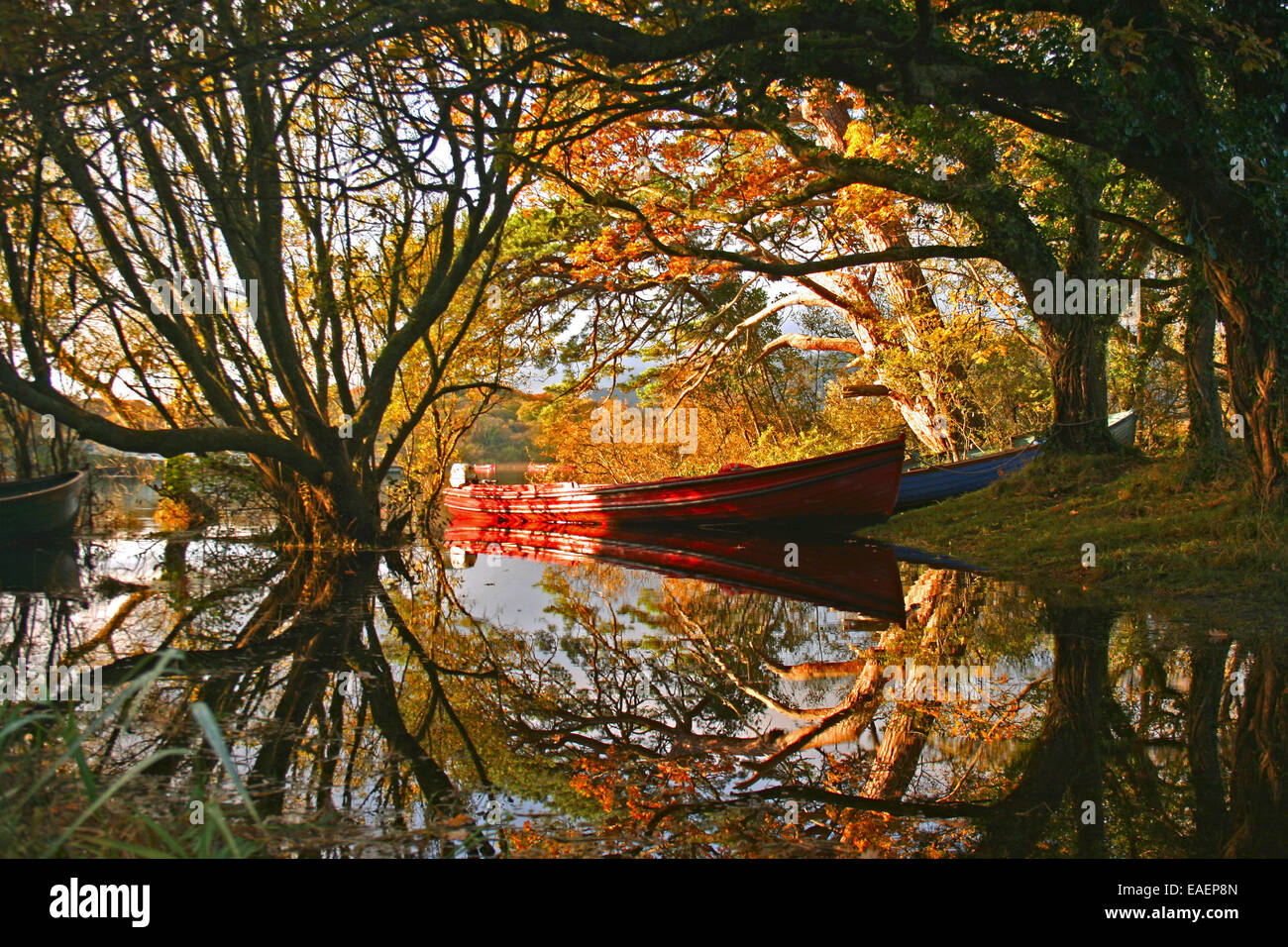 Colored boats on a lake inside the Killarney National Park. County of Kerry, Ireland. Stock Photo