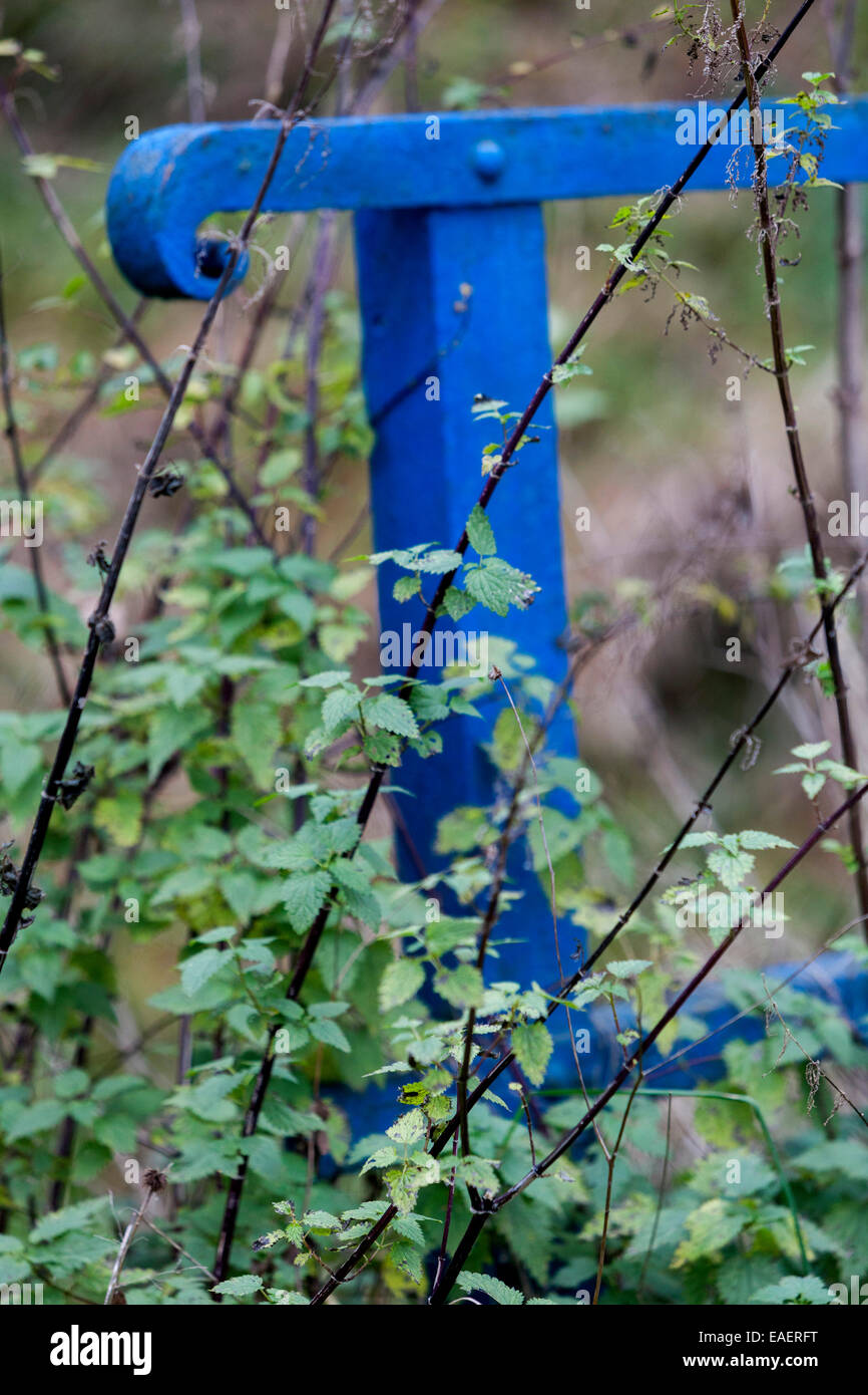Overgrown blue railings, nettles Stock Photo