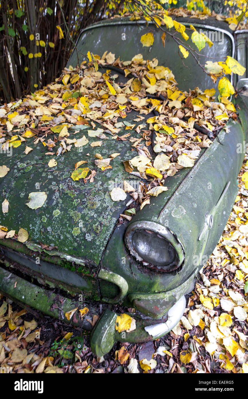 Abandoned Czech old car Skoda 1000 mb covered with fallen leaves Old Car autumn Stock Photo