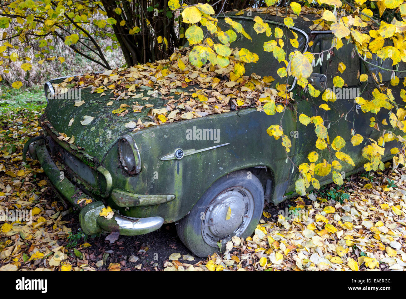 Czechoslovakia 1970s Abandoned Czech old car Skoda 1000 MB in wood under a tree autumn linden Stock Photo