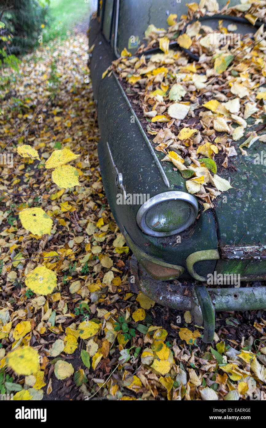Abandoned czech old car skoda 1000 mb in wood Stock Photo