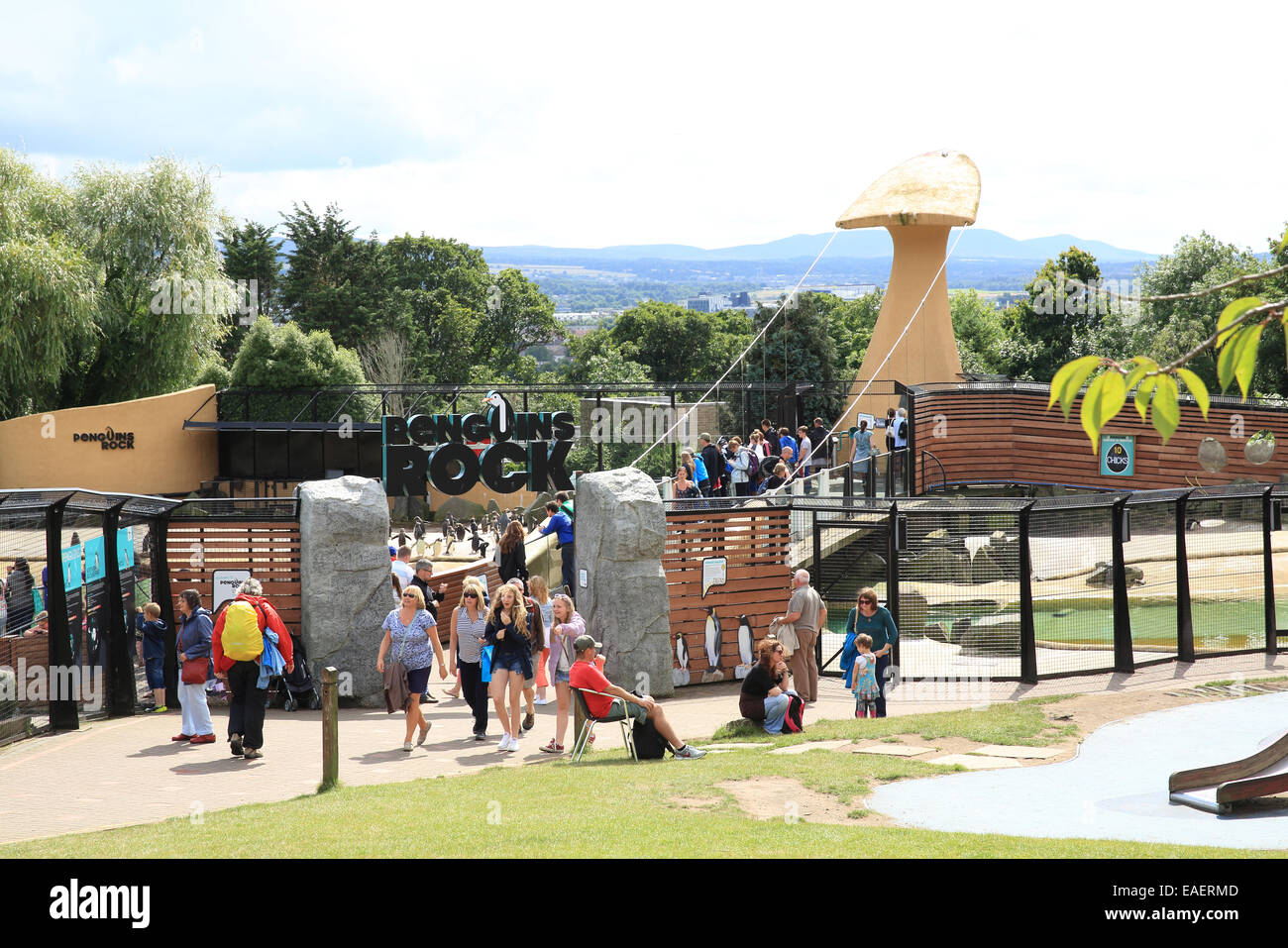 Penguins Rock, the popular penguins enclosure in Edinburgh Zoo