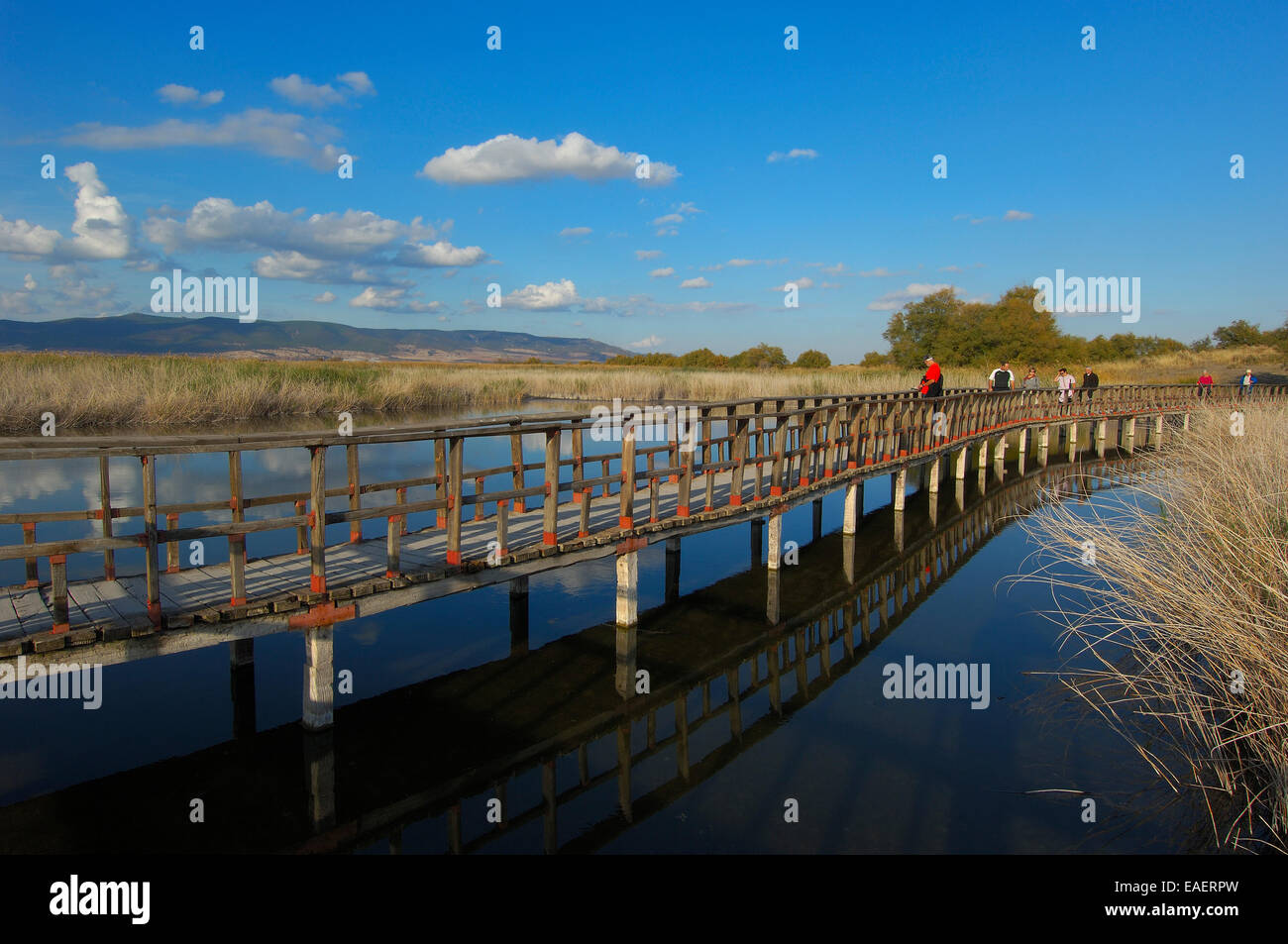 Daimiel, Tablas de Daimiel National Park, Ciudad Real province, Spain