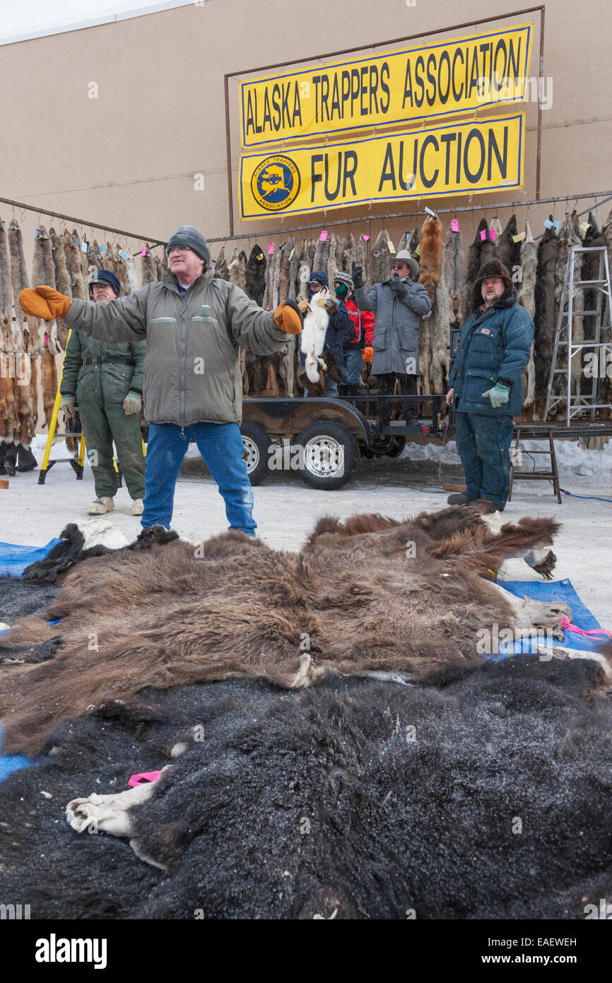 North american trapper hires stock photography and images Alamy