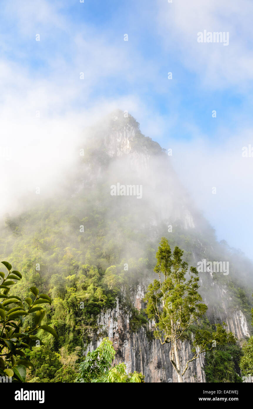 Lush high limestone mountain covered by mist surrounded by tropical forests of Thailand. Stock Photo