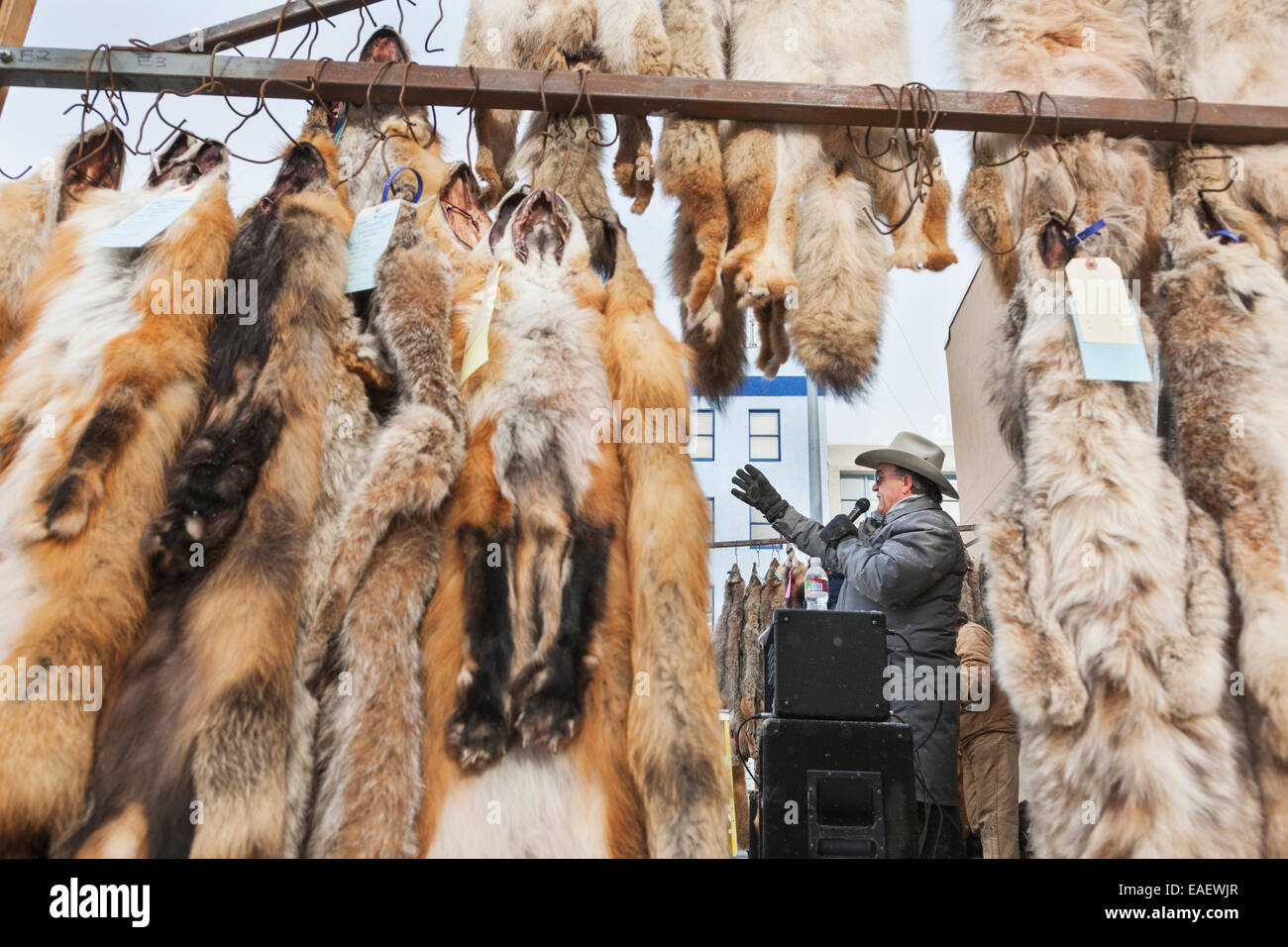 Animal trapper hires stock photography and images Alamy