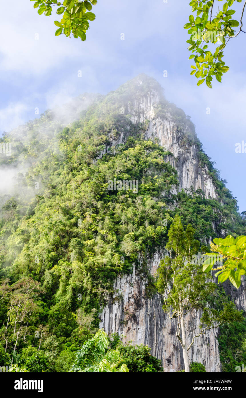 Lush high limestone mountain covered by mist surrounded by tropical forests of Thailand Stock Photo