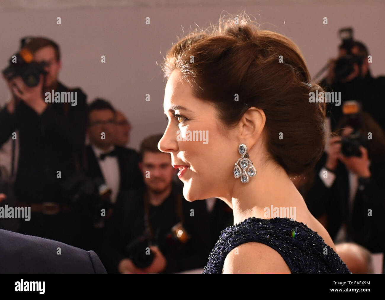 Berlin, Germany. 13th Nov, 2014. Danish Crown Princess Mary arrives on the red carpet area at the Stage Theater before the Bambi Awards at Potsdamer Platz in Berlin, Germany, 13 November 2014. The gala for the 66th Bambi Awards hosted by Hubert Burda Media will take place on 13 November 2014. Photo: Jens Kalaene/dpa/Alamy Live News Stock Photo