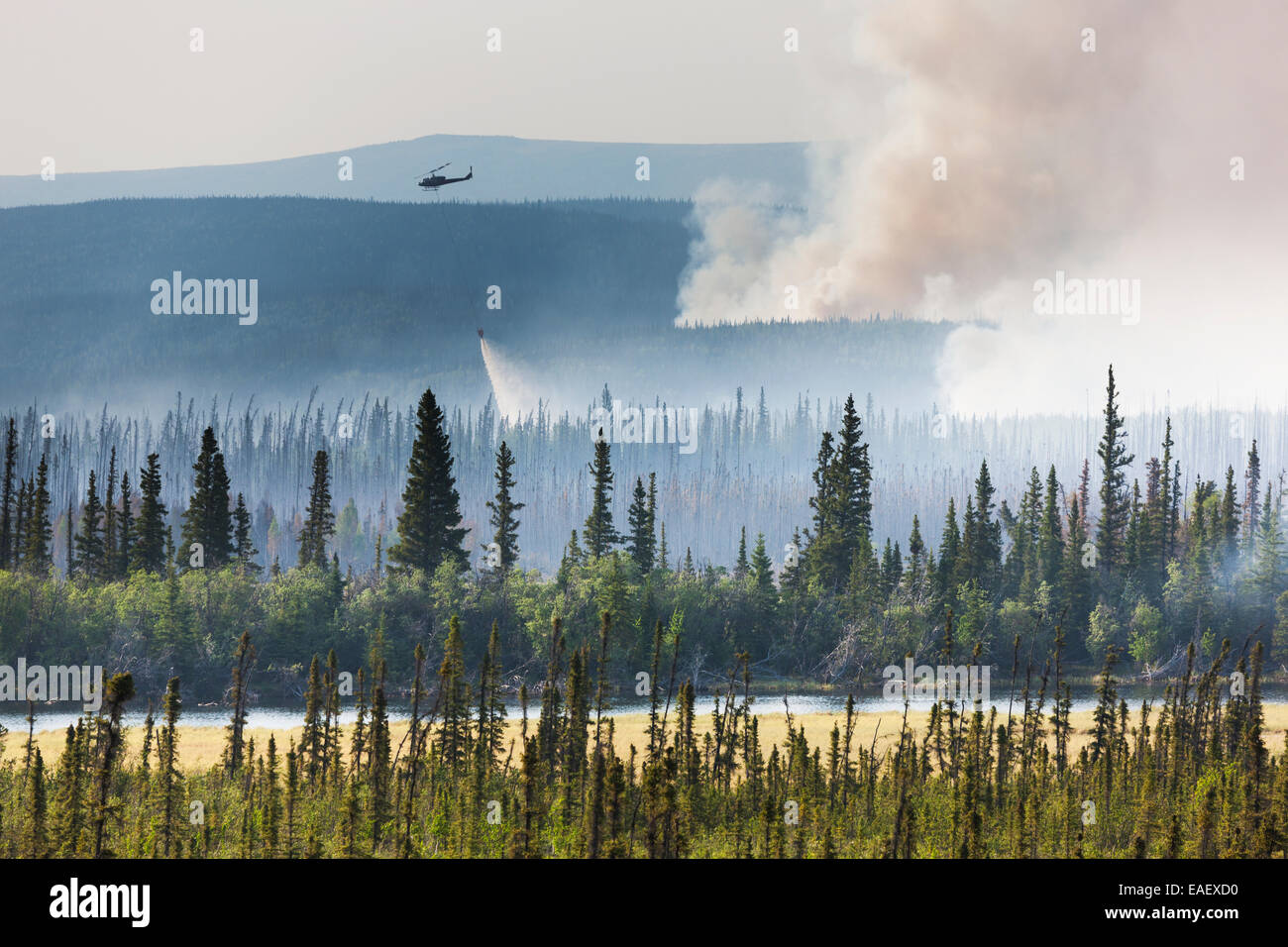 Helicopter dumps water on the May 2010 Eagle Trail fire near Tok and