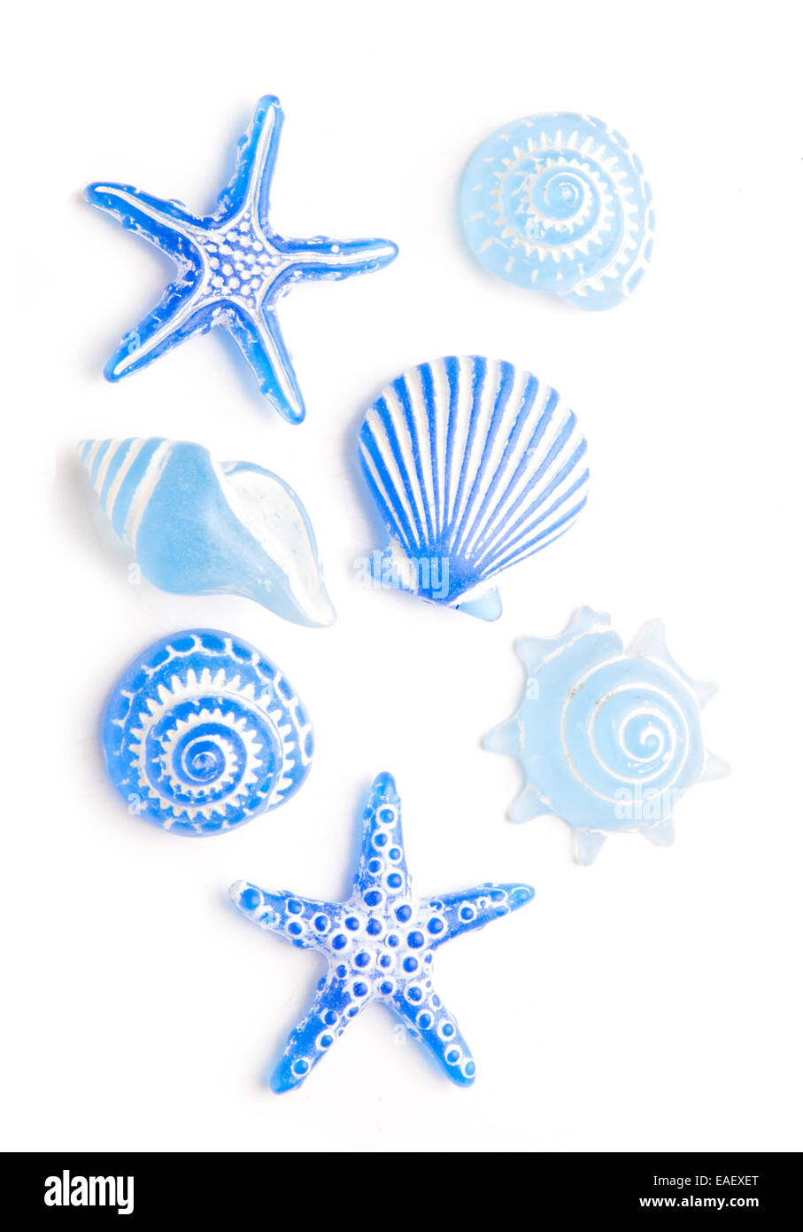 Seashell shapes Cut Out Stock Images & Pictures - Alamy