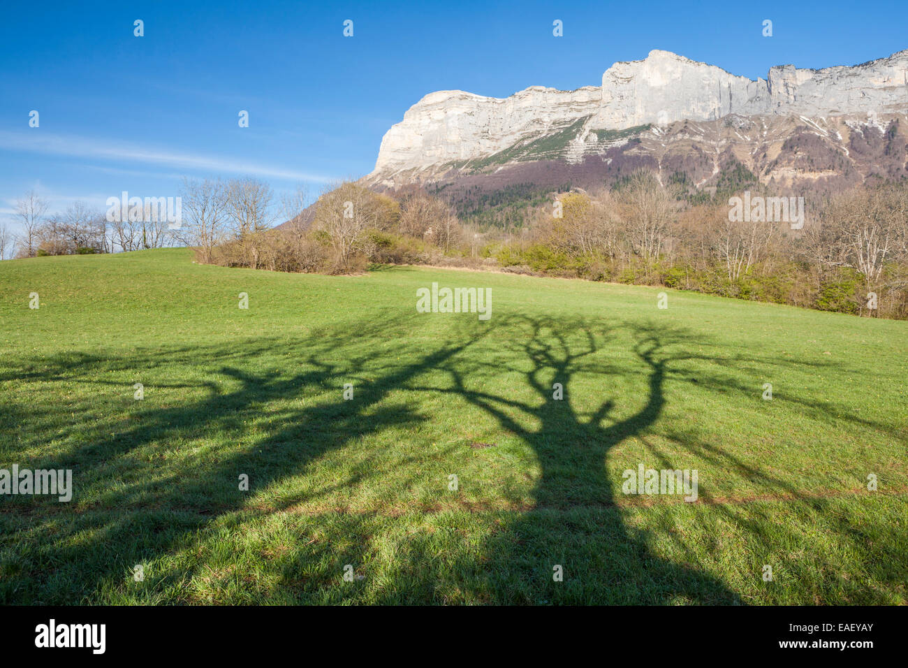 Saint Hilaire du Touvet, Natural park of Le Chartreuse, Isère, Rhône-Alpes, France Stock Photo