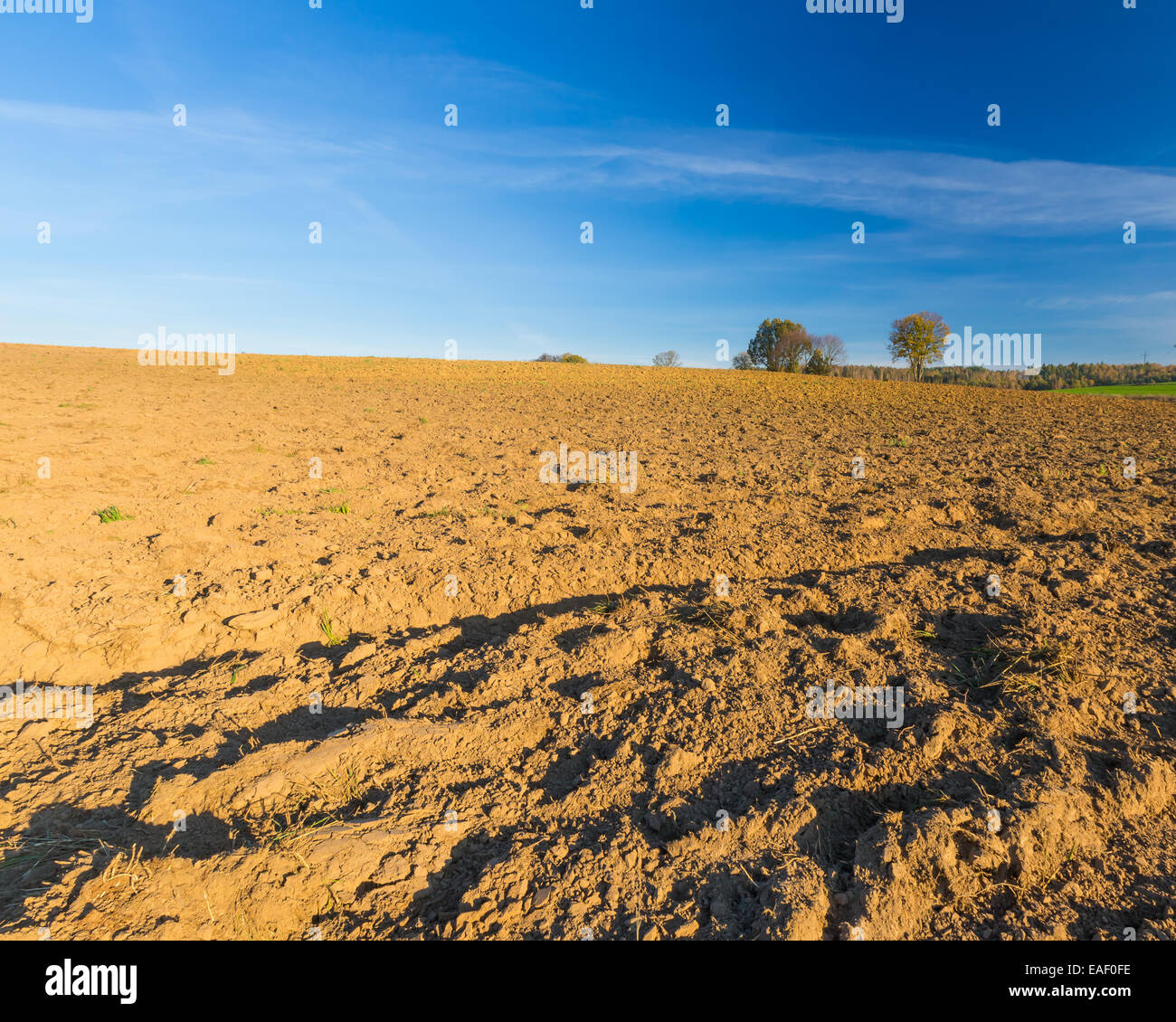 Plowed field under blue sky landscape Stock Photo - Alamy