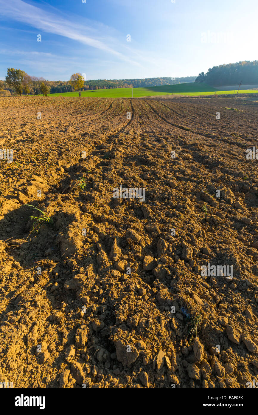 Plowed field under blue sky landscape Stock Photo - Alamy
