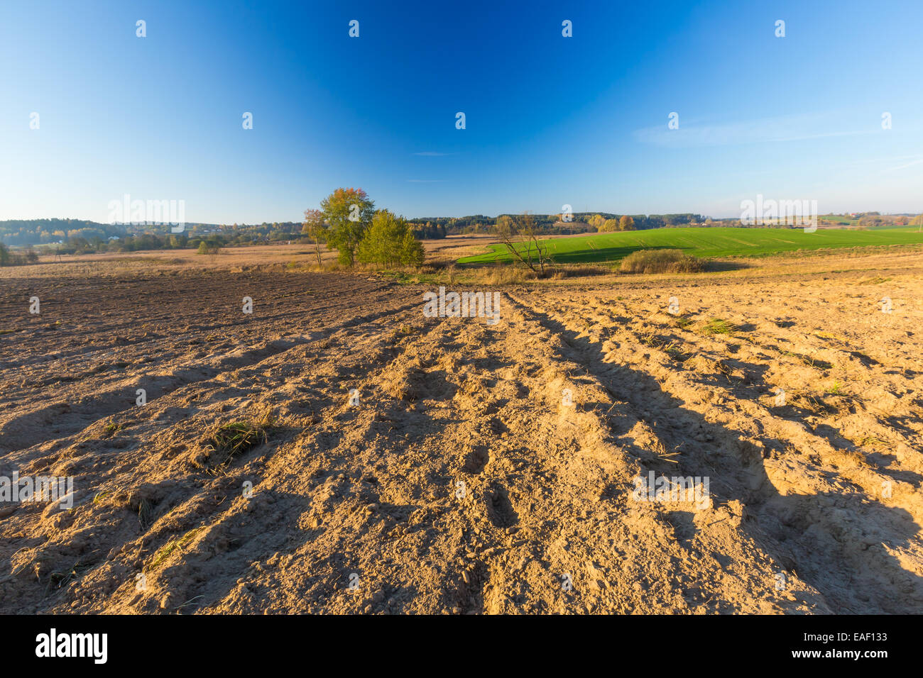 Plowed field under blue sky landscape Stock Photo - Alamy