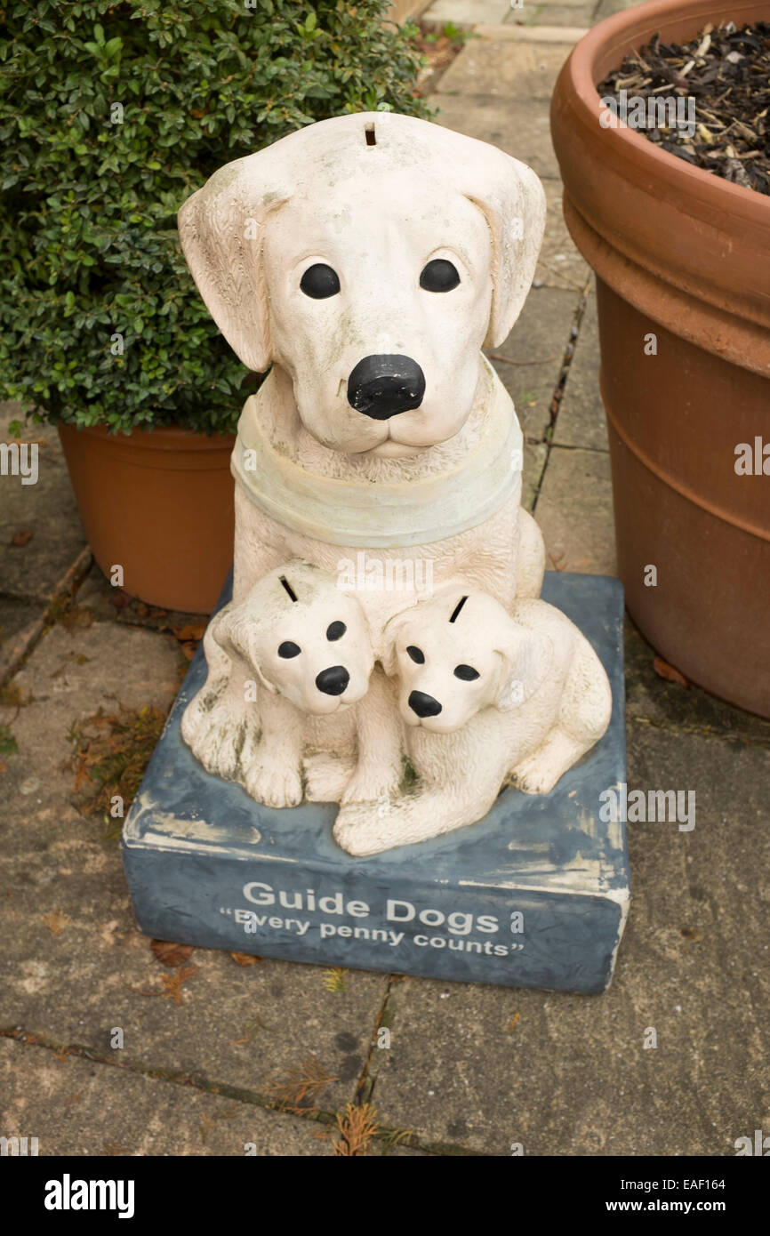 Guide Dogs Charity Box Stock Photo