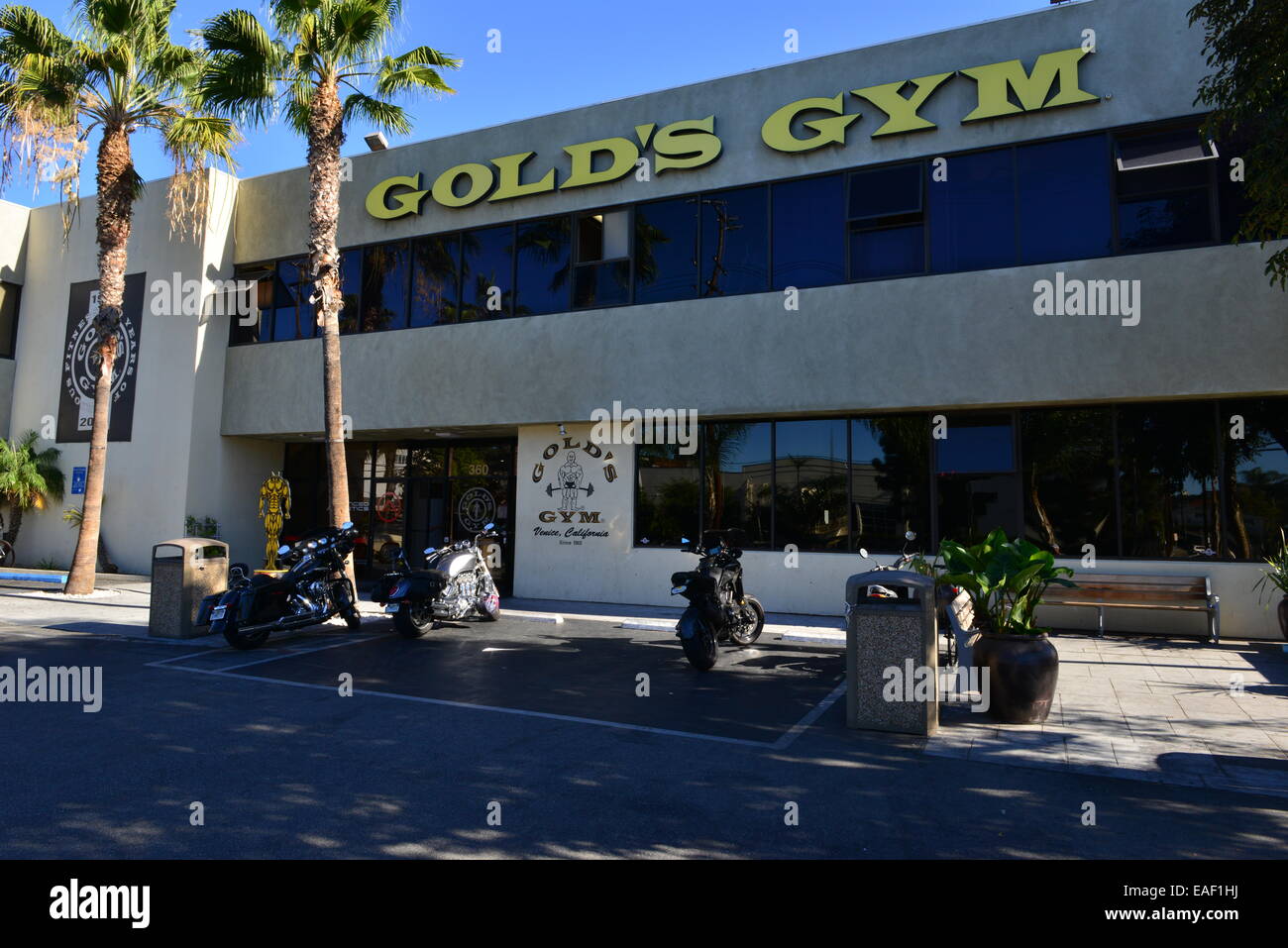 Golds Gym, Venice,California Stock Photo
