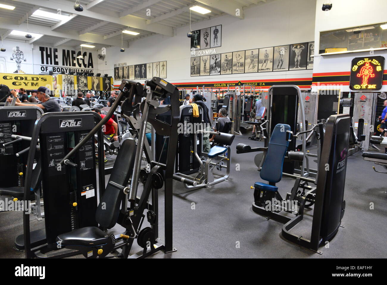 Golds gym venice hi-res stock photography and images - Alamy