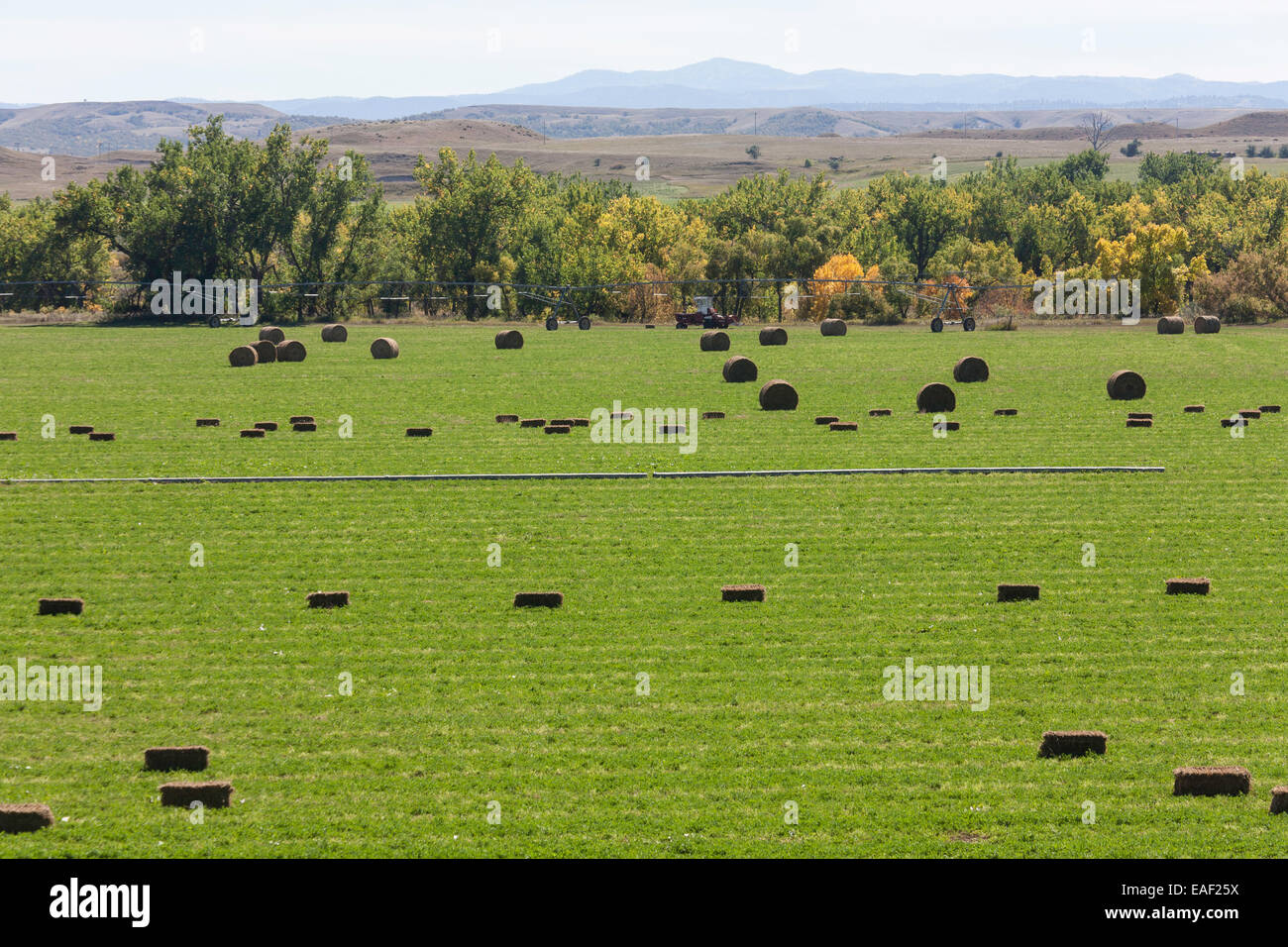 Pasture in Rural South Dakota, USA Stock Photo