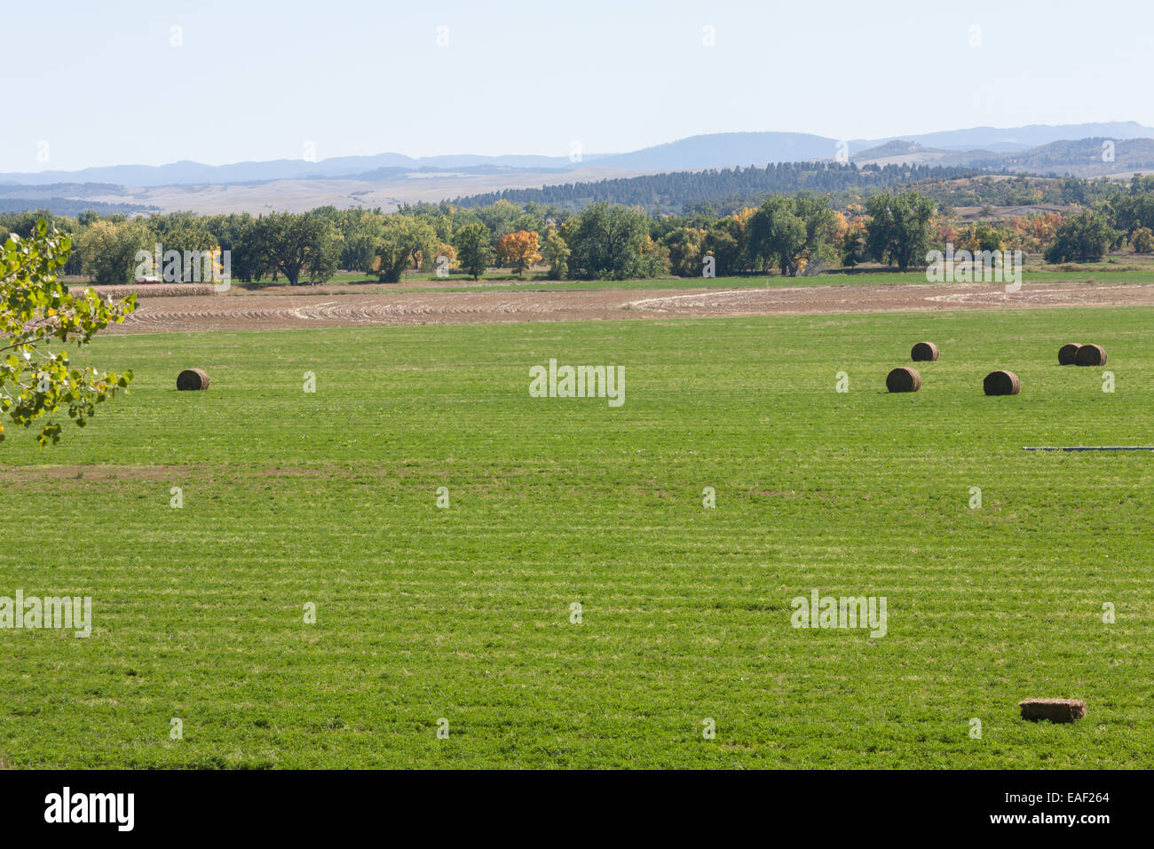 Pasture in Rural South Dakota, USA Stock Photo