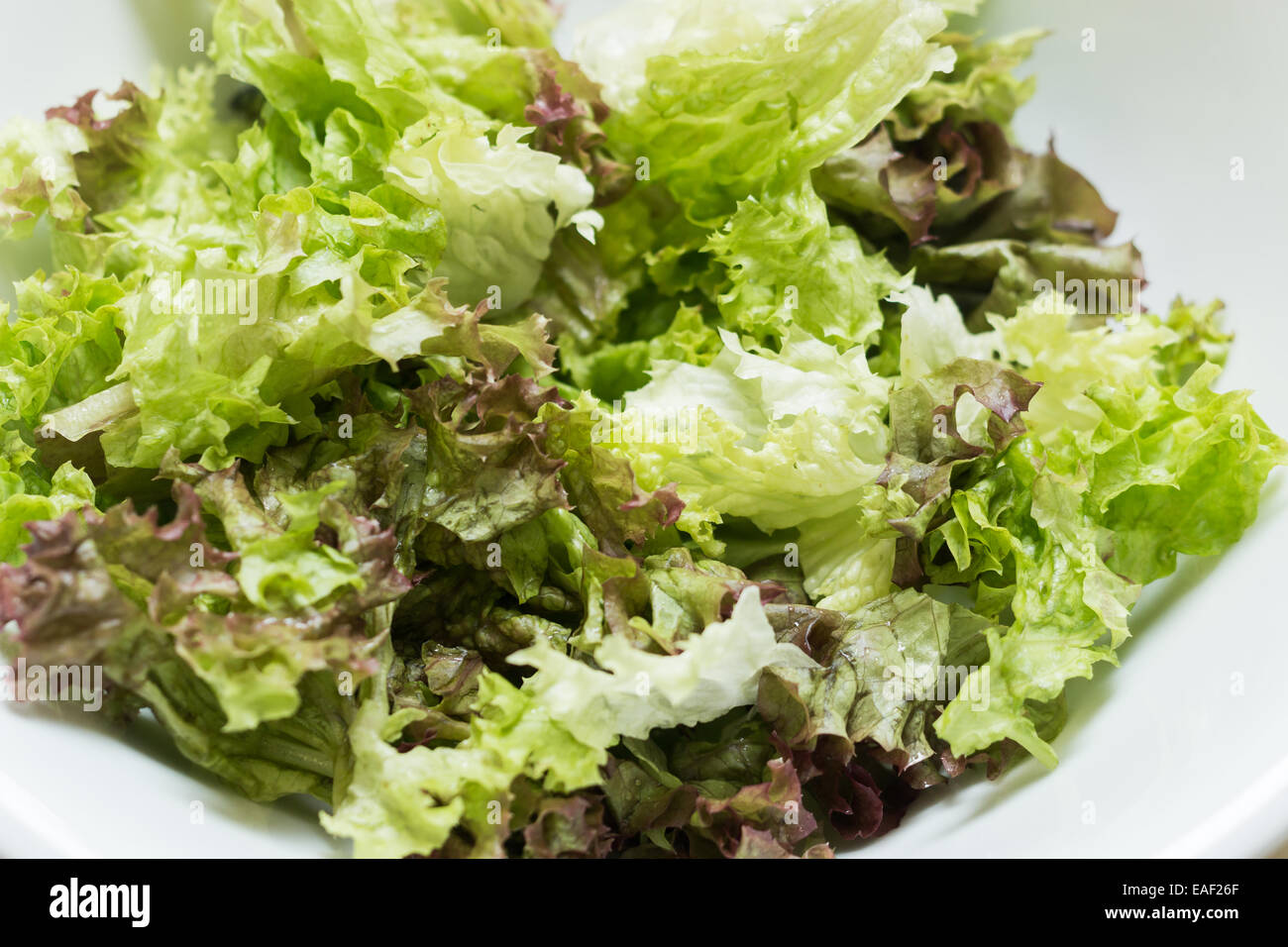 Green lettuce in a white bowl Stock Photo Alamy