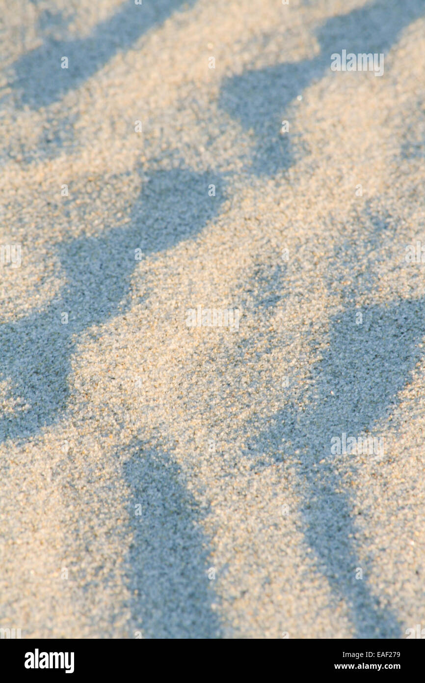 Artistic sand drawings of nature Stock Photo