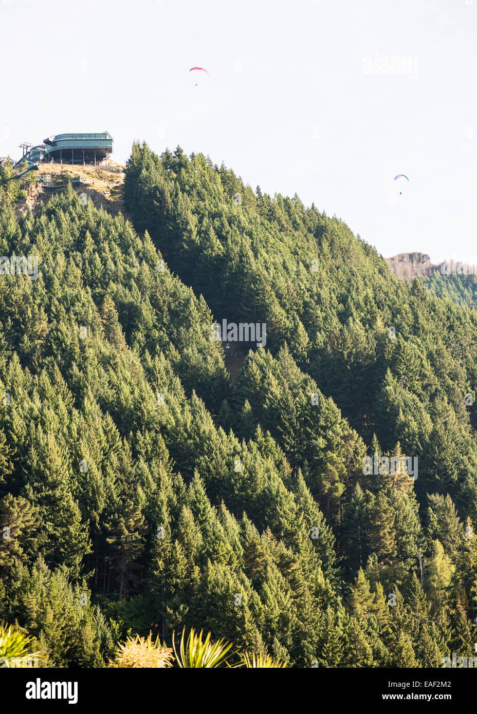 Hang-gliders over Bob's Peak, Queenstown, New Zealand Stock Photo