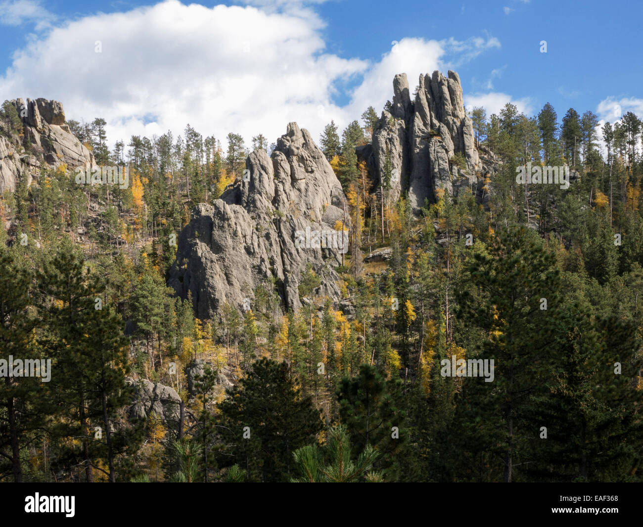 Spearfish Canyon, Black Hills National Forest