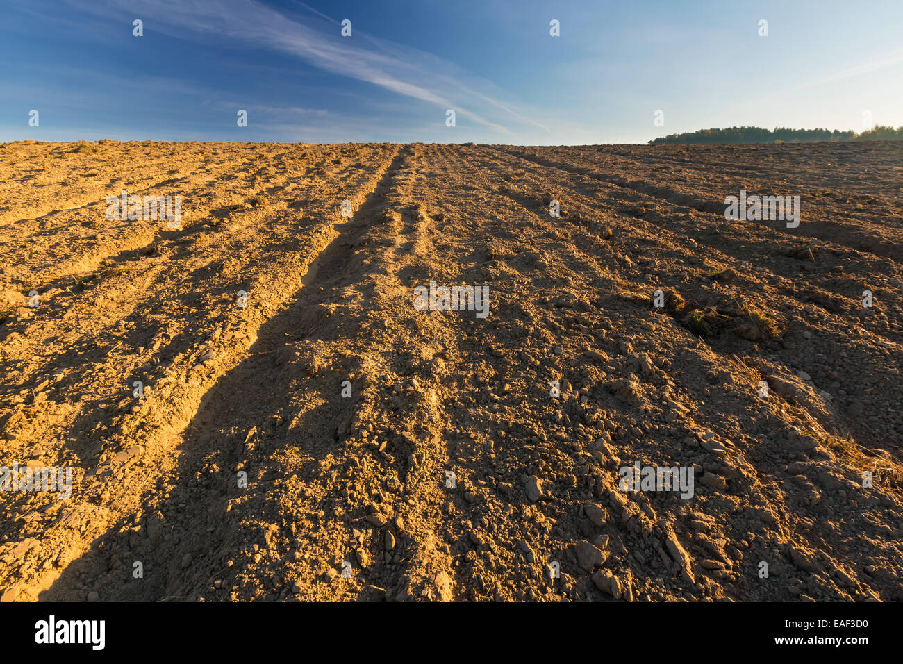 Plowed field under blue sky landscape Stock Photo - Alamy