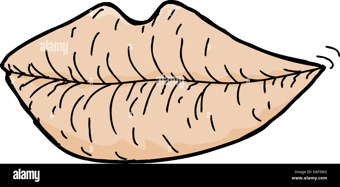 Cartoon lips hi-res stock photography and images - Alamy