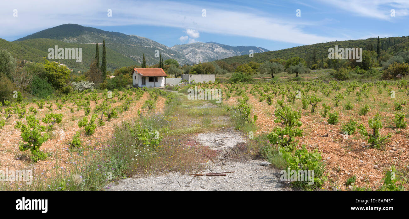 An unkept path to a vinyard in the mountains near Fragata, Kefalonia. Stock Photo