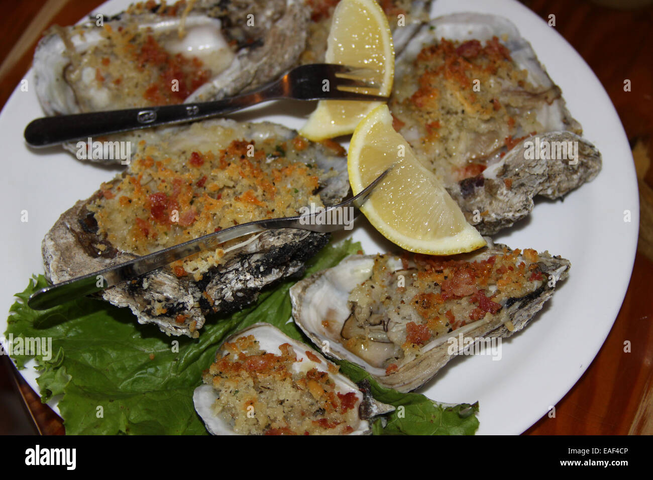 Oysters dish - Stock Image