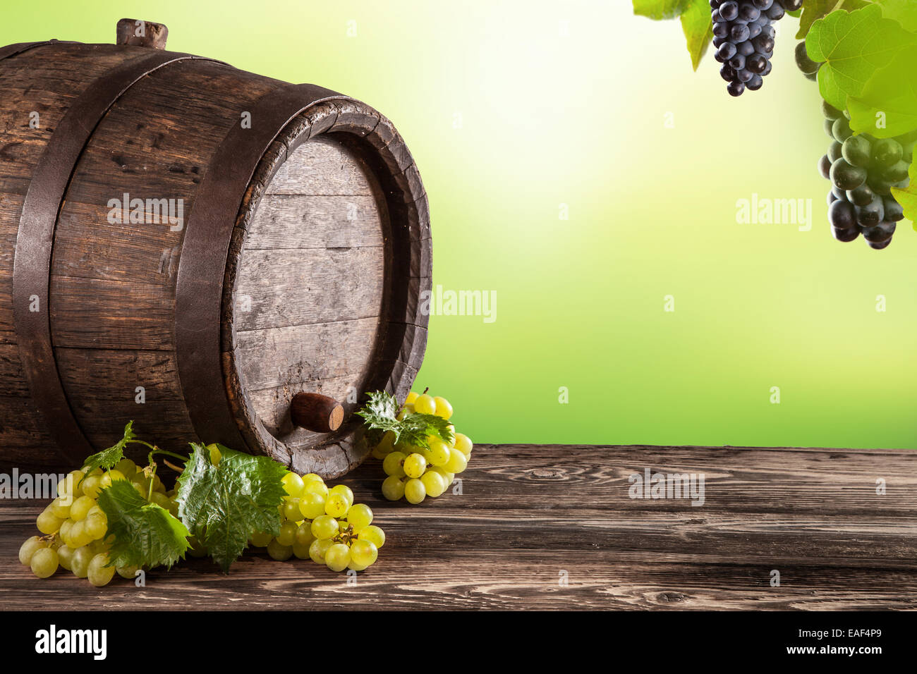 Detail of wine keg with white grapes Stock Photo Alamy