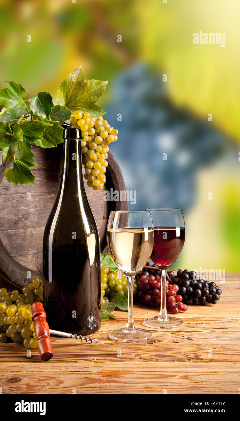 Detail of wine with keg on vineyard Stock Photo