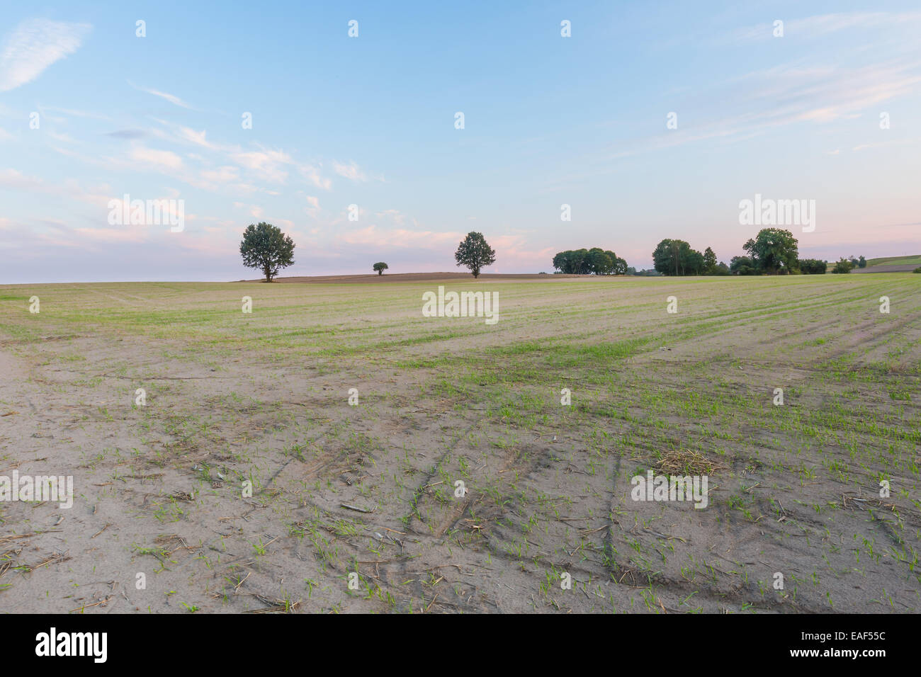 Village landscape with blue sky and grassy field Stock Photo - Alamy
