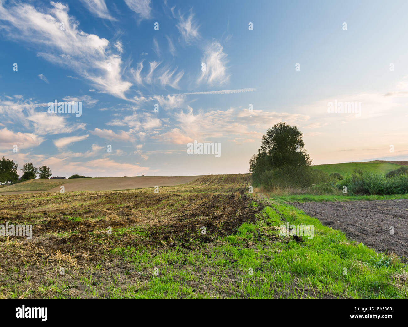 Village landscape with blue sky and grassy field Stock Photo - Alamy