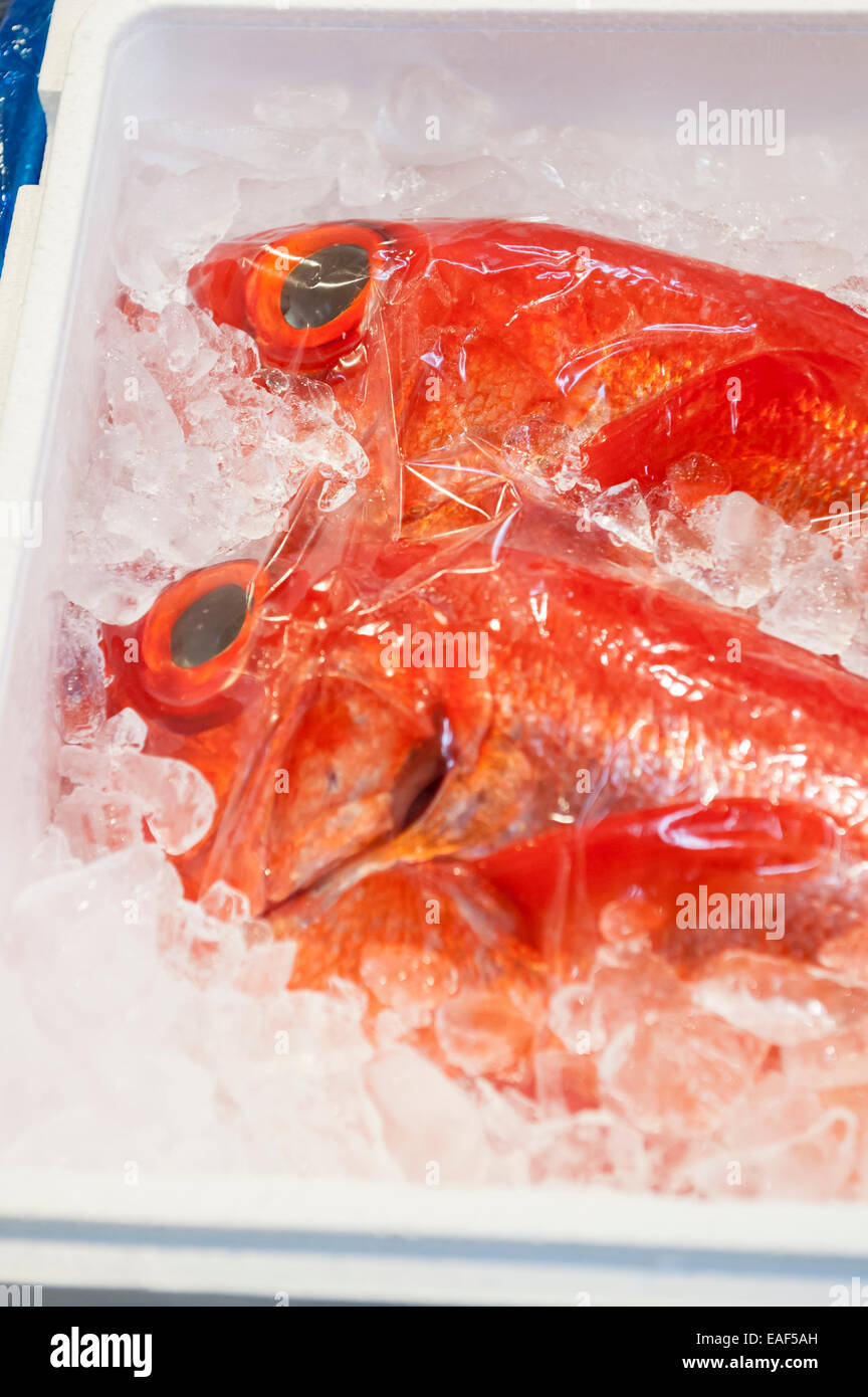 Golden eye snapper/red snapper/Kinmedai on ice, Beryx splendens, Tsukiji Fish Market, Tokyo, Japan Stock Photo