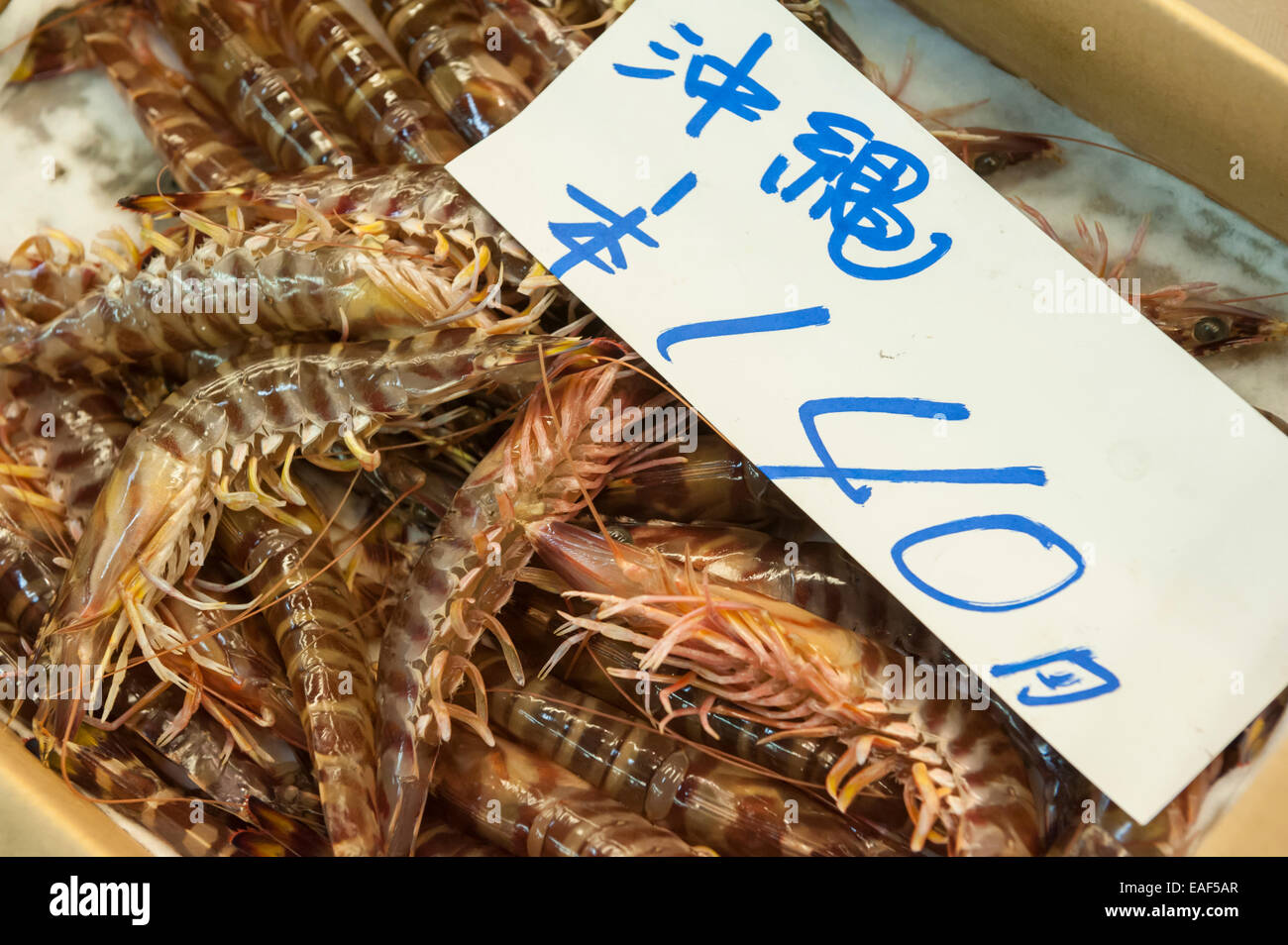 Japanese tiger prawns, Marsupenaeus japonicus, Tsukiji Fish Market, Tokyo, Japan Stock Photo