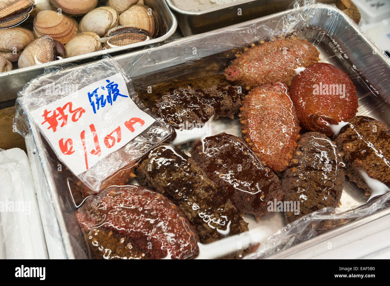 Sea cucumbers for sale, Tsukiji Fish Market, Tokyo, Japan Stock Photo