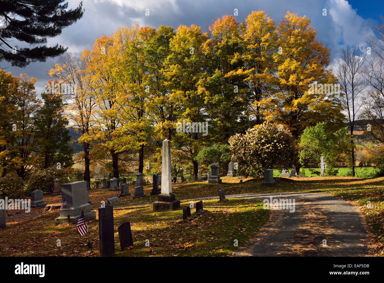 Green and orange Maple trees at Peacham Corner historic Cemetery