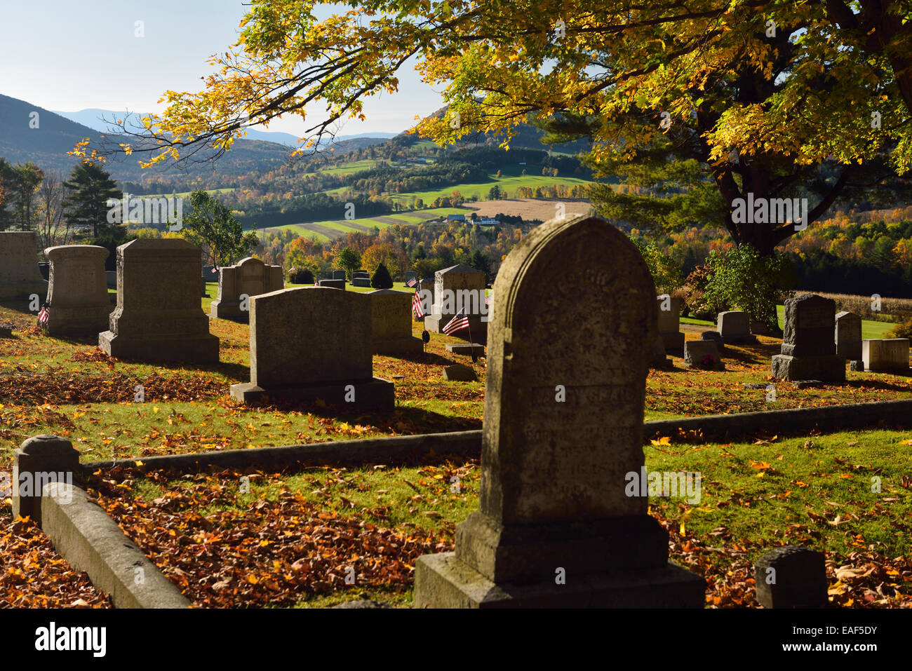 Gold maple leaves and American flags at Peacham Corner Cemetery with