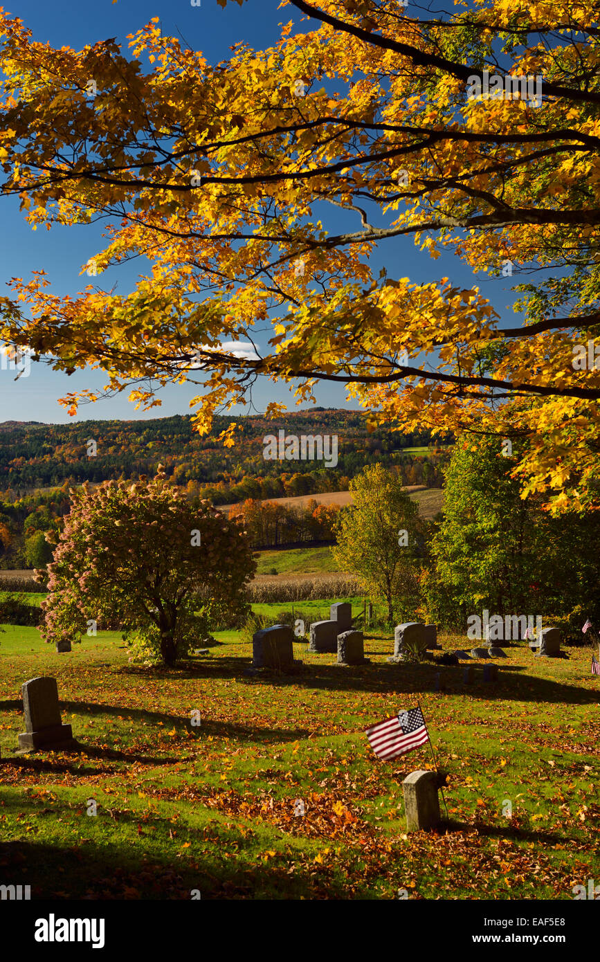 Gold maple leaves Hydrangea and American flag at Peacham Corner