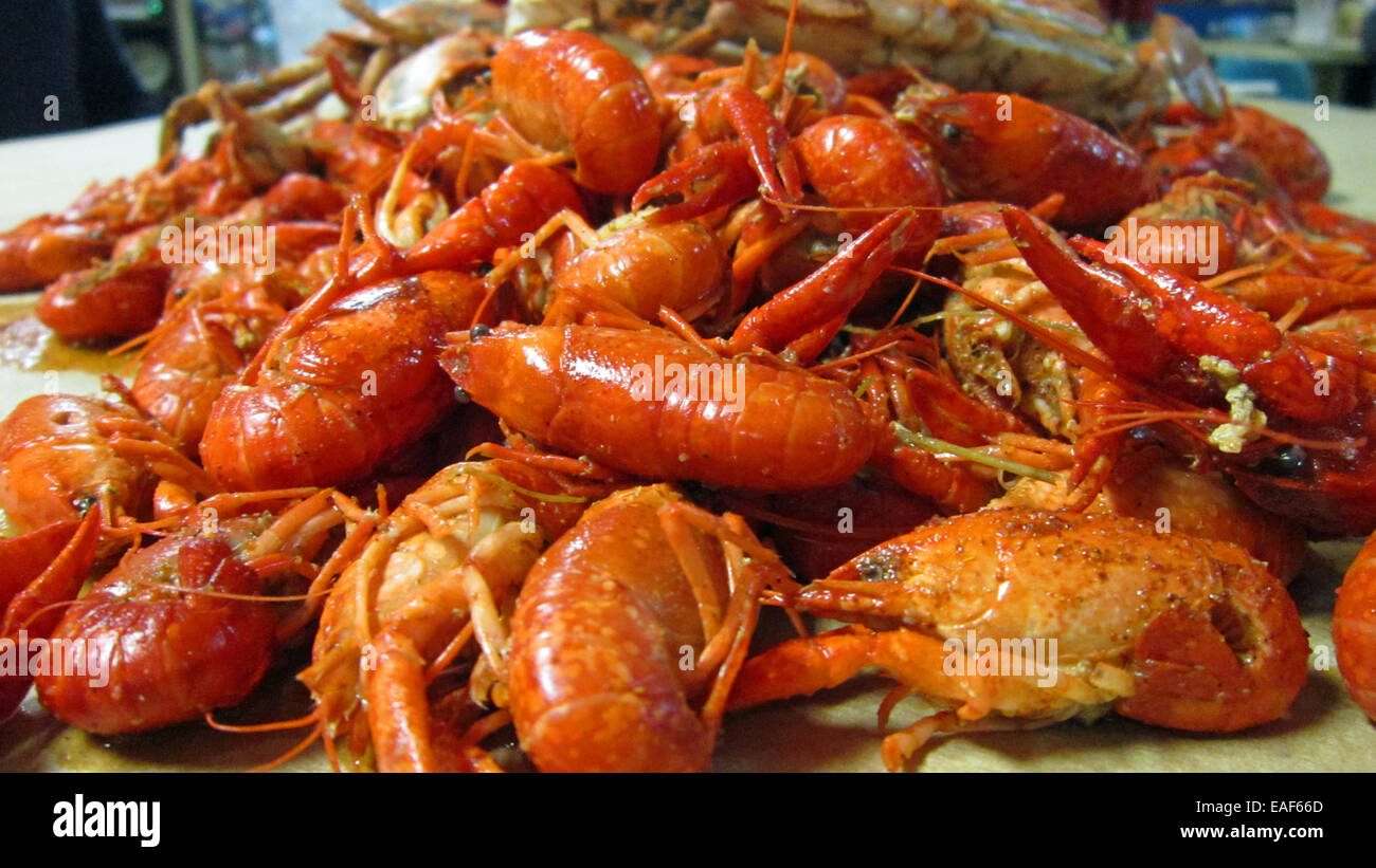 Close up of crawfish in a pile - Stock Image
